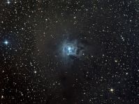 NGC 7023 - SWQ8 - QSI - LRGB TN.jpg