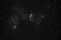 IC 443.jpg