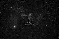 IC 443 mB.jpg