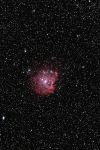 NGC2175_SP_PS.jpg